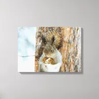 Winter Squirrel Canvas Print