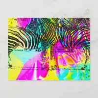 Colorful Zebras Postcard