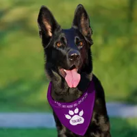 Cute Identity Personalized Cat or Dog's  Pet Bandana Collar