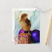 Adorable Christmas Chick Postcard