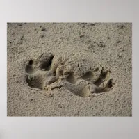 Hope's Pawprints in the Sand Gloss Canvas UV Poster