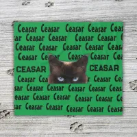 Personalized Male Cat Monogrammed Accessories