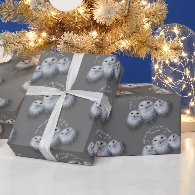 Funny Owl We Want for Christmas ... Snowy Owls Wrapping Paper