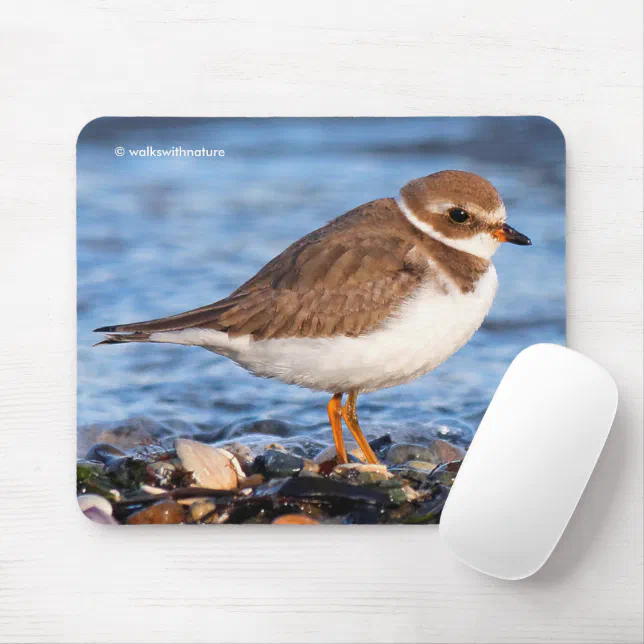 Beautiful Semipalmated Plover on Beach Mouse Pad