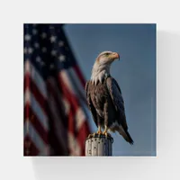 American Eagle and Flag Paperweight