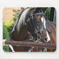 Bay Pinto Amish Buggy Horse Mouse Pad