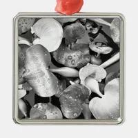 Pond Plants and Black and White Metal Ornament