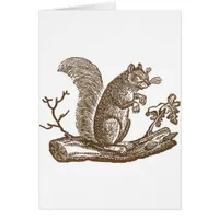 Vintage Squirrel