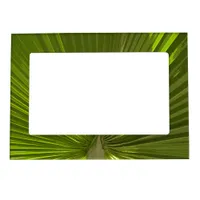 Tropical Palm Frond Magnetic Frame