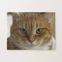 Orange Tabby Cat Jigsaw Puzzle