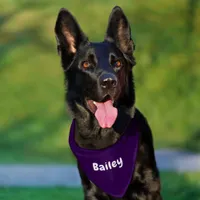 Custom Personalized Name Minimal Dark Purple Pet Bandana Collar