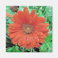 Pretty Red Flower with Raindrops Magnet