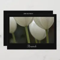 White Garden Tulips Spring Post Wedding Brunch Invitation