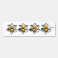 Just Daffodils | Floral Photo Bumper Sticker