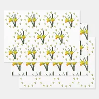 Gift Wrap Set - Daffodil blossoms X 3