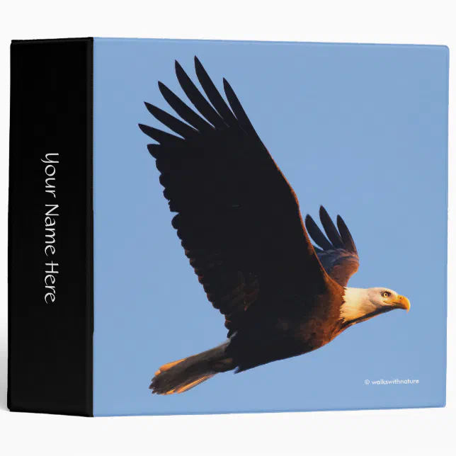 Breathtaking Bald Eagle in Winter Sunset Flight 3 Ring Binder