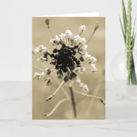 Shepherd's Purse in Sepia Card