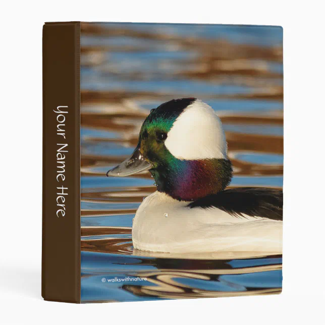 Male Bufflehead in the Afternoon Sun Mini Binder