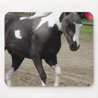 Pinto Mini Horse Mouse Pad