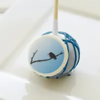 Cake Pop - Hummingbird on Branch