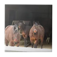 Four Horses Ceramic Tile