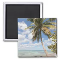 Isla Saona - Palm Tree at the Beach Magnet