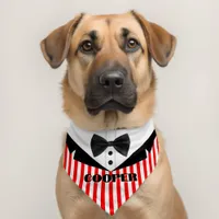 Striped Suit Pattern Name Pet Bandana Collar