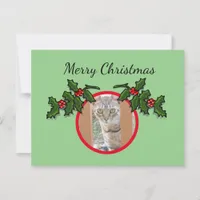 Postcard - Cat and Christmas Greeting