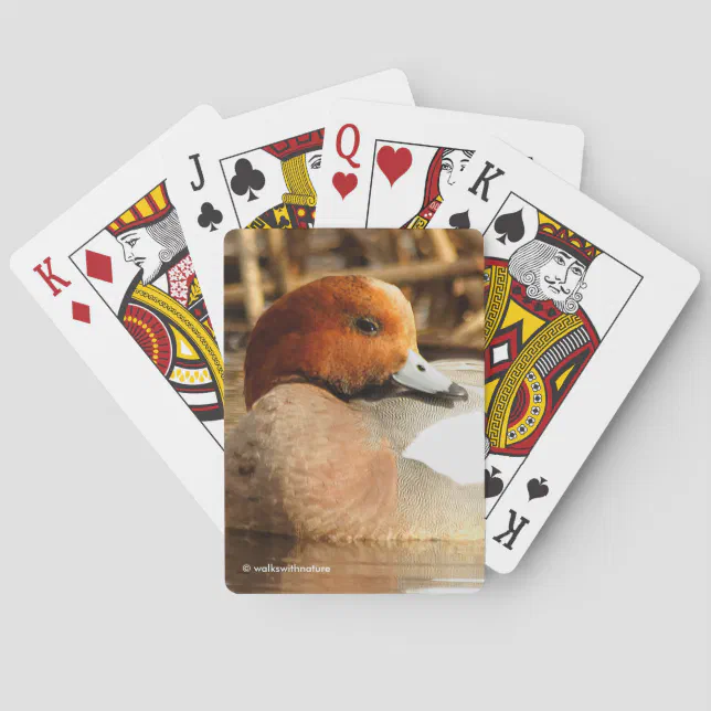 Handsome Stranger in Town Eurasian Wigeon Duck Poker Cards