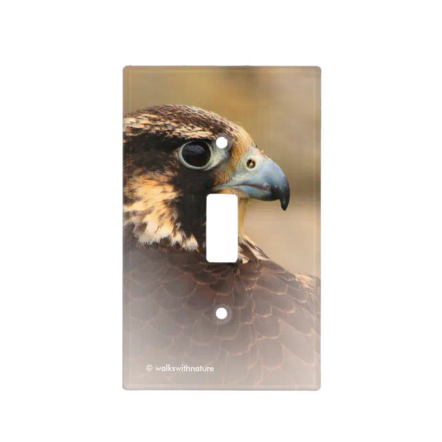 Vignetted Profile of a Peregrine Falcon Light Switch Cover