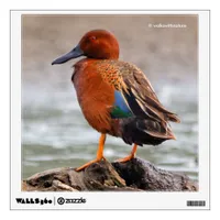 Cinnamon Teal Drake Looks Back Wall Sticker