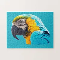 Macaw portrait on a turquoise background jigsaw puzzle