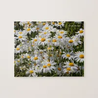 A Field of Oxeye Daisies Jigsaw Puzzle
