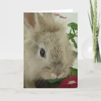 Lionhead Bunny All Occasions  Card