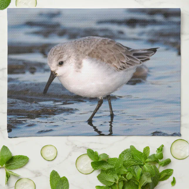 Sanderling Strolling on a Winter Beach Towel