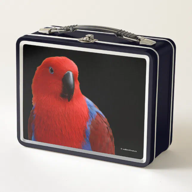 Beautiful "Lady in Red" Eclectus Parrot Metal Lunch Box