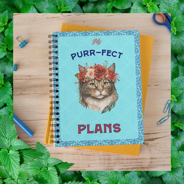 Purr-fect plans Maine Coon teal Planner