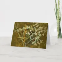 White Plant Macro All Occasions Blank Iniide Card