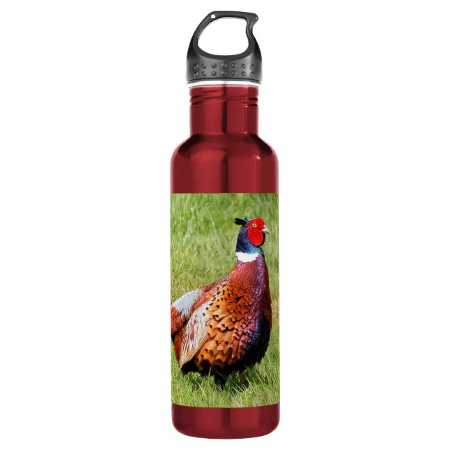 Profile of a Ring-Necked Pheasant Stainless Steel Water Bottle