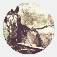 Appaloosa Horse Classic Round Sticker