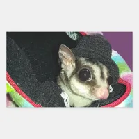 Sugar Glider Wearing a Hat Rectangular Sticker