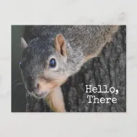 Hello, There, Cute Squirrel Photo Postcard