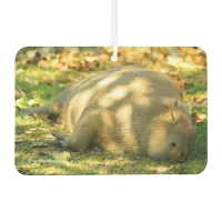 A Cute Capybara Dreams in the Summer Sun Car Air Freshener