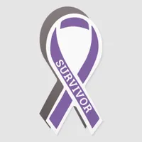 Survivor Disease Illness Awareness Ribbon Purple Car Magnet