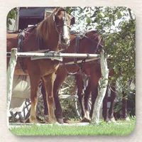 Amish Horses at the Hitching Post Around Apples Drink Coaster