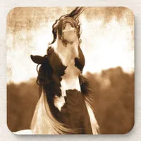Gypsy Vanner Beverage Coaster