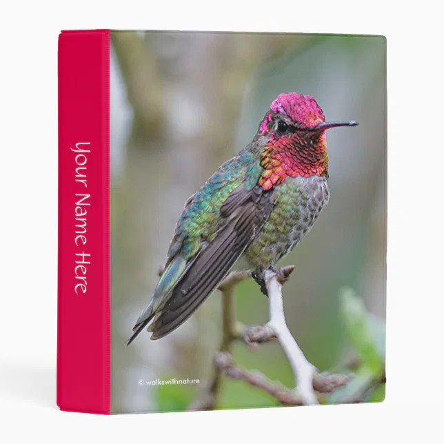 Stunning Male Anna's Hummingbird on the Plum Tree Mini Binder