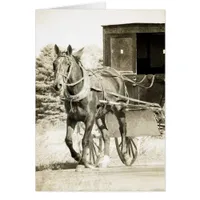 Horse and Buggy Sepia Cards