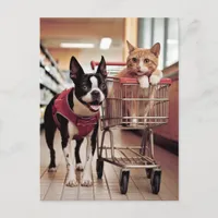 Adorable Boston Terrier and a Cat go Shopping Postcard