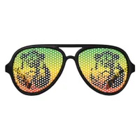 Rasta Flag and Lion Head Aviator Sunglasses